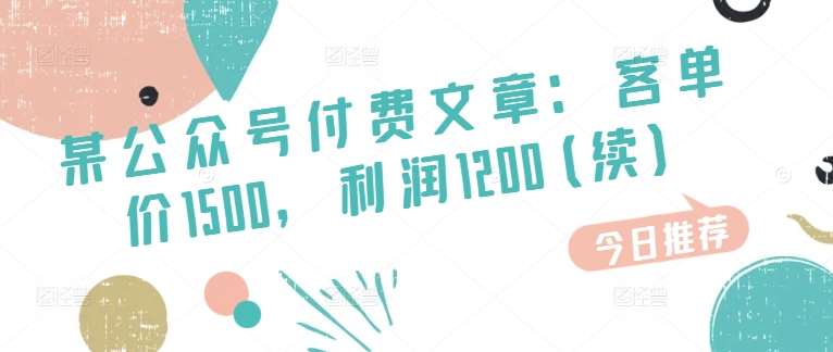 某公众号付费文章：客单价1500，利润1200(续)，市场几乎可以说是空白的-问小徐资源库