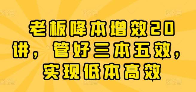 老板降本增效20讲，管好三本五效，实现低本高效-问小徐资源库