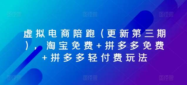 虚拟电商陪跑(更新第三期)，淘宝免费+拼多多免费+拼多多轻付费玩法-问小徐资源库