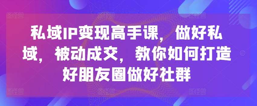 私域IP变现高手课，做好私域，被动成交，教你如何打造好朋友圈做好社群-问小徐资源库