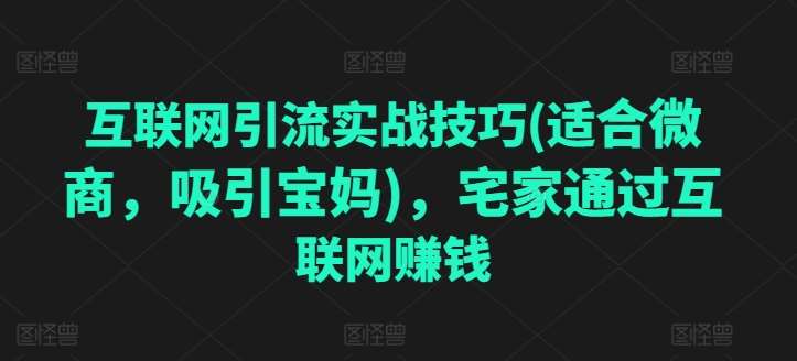 互联网引流实战技巧(适合微商，吸引宝妈)，宅家通过互联网赚钱-问小徐资源库