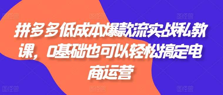 拼多多低成本爆款流实战私教课，0基础也可以轻松搞定电商运营-问小徐资源库
