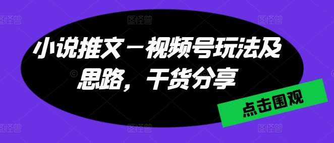 小说推文—视频号玩法及思路，干货分享-问小徐资源库