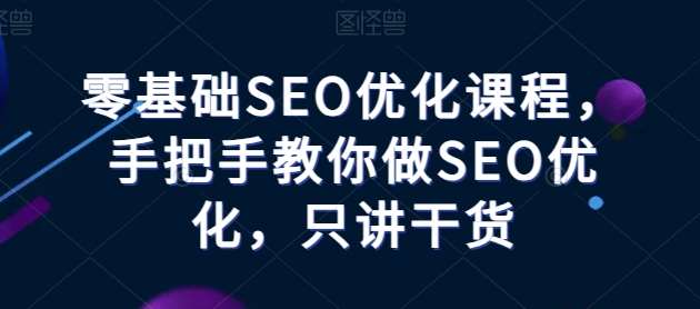 零基础SEO优化课程，手把手教你做SEO优化，只讲干货-问小徐资源库