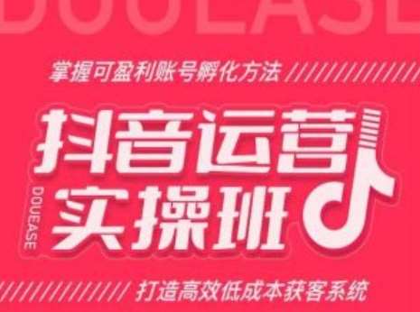 抖音运营实操班，掌握可盈利账号孵化方法，打造高效低成本获客系统-问小徐资源库