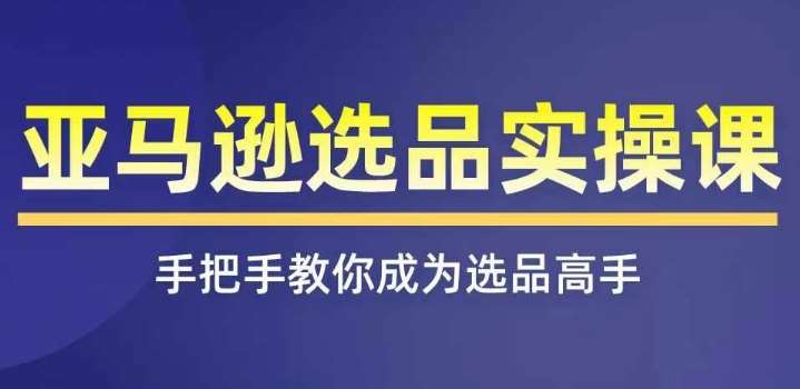 亚马逊选品实操课程，快速掌握亚马逊选品的技巧，覆盖亚马逊选品所有渠道-问小徐资源库
