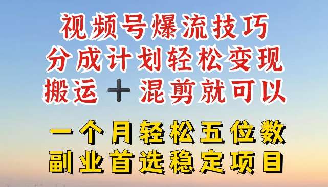 视频号爆流技巧，分成计划轻松变现，搬运 +混剪就可以，一个月轻松五位数稳定项目【揭秘】-问小徐资源库