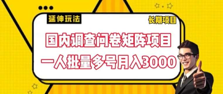 国内调查问卷矩阵项目，一人批量多号月入3000【揭秘】-问小徐资源库