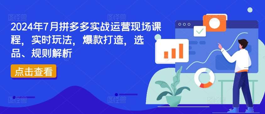 2024年7月拼多多实战运营现场课程，实时玩法，爆款打造，选品、规则解析-问小徐资源库