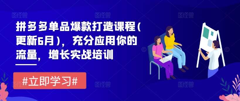 拼多多单品爆款打造课程(更新6月)，充分应用你的流量，增长实战培训-问小徐资源库