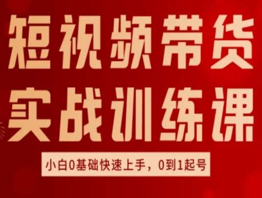 短视频带货实战训练课，好物分享实操，小白0基础快速上手，0到1起号-问小徐资源库