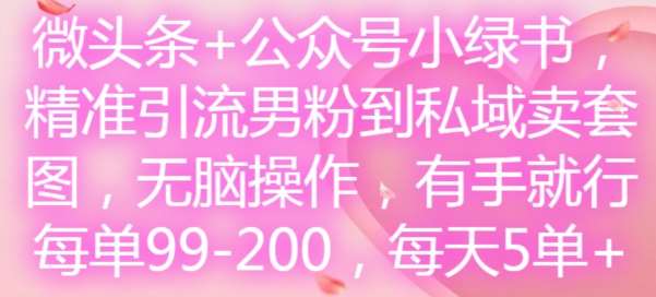微头条+公众号小绿书，精准引流男粉到私域卖套图，无脑操作，有手就行，每单99-200，每天5单-问小徐资源库