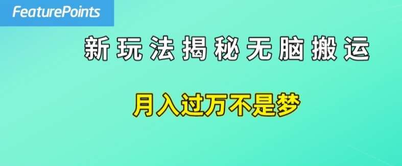 简单操作，每天50美元收入，搬运就是赚钱的秘诀【揭秘】-问小徐资源库