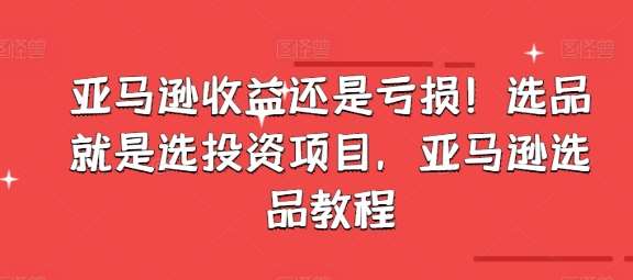 亚马逊收益还是亏损！选品就是选投资项目，亚马逊选品教程-问小徐资源库