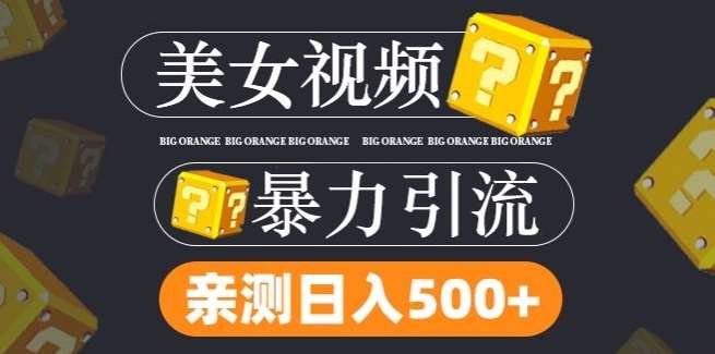 搬运tk美女视频全网分发，日引s粉300+，轻松变现，不限流量不封号【揭秘】-问小徐资源库