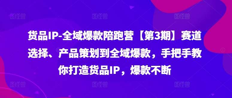 货品IP全域爆款陪跑营【第3期】赛道选择、产品策划到全域爆款，手把手教你打造货品IP，爆款不断-问小徐资源库