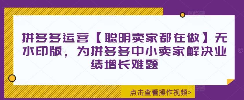 拼多多运营【聪明卖家都在做】无水印版，为拼多多中小卖家解决业绩增长难题-问小徐资源库