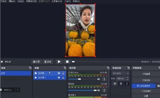 图片[2]-2024最新拼多多无人直播教程，转化率更高，低门槛，轻松实现每日1000+的收入-问小徐资源库