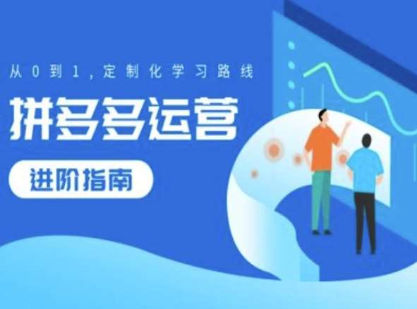 拼多多运营进阶指南，从0到1定制化学习路线-问小徐资源库
