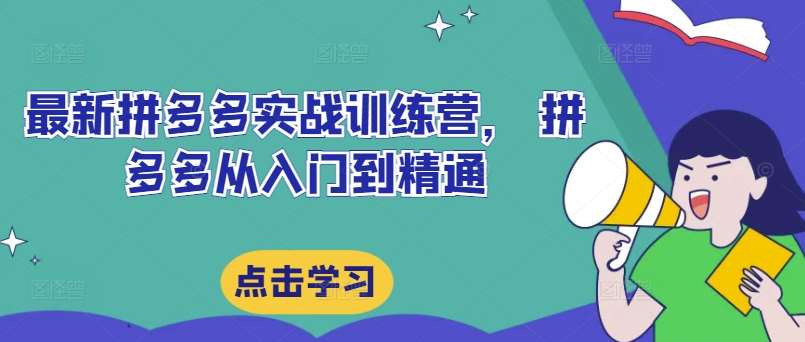 最新拼多多实战训练营， 拼多多从入门到精通-问小徐资源库
