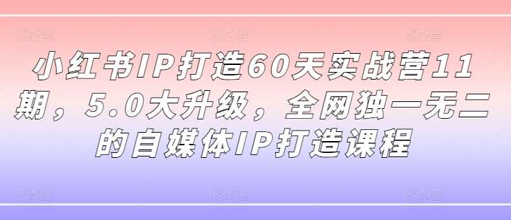 小红书IP打造60天实战营11期，5.0大升级，全网独一无二的自媒体IP打造课程-问小徐资源库