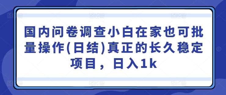 国内问卷调查小白在家也可批量操作(日结)真正的长久稳定项目，日入1k【揭秘】-问小徐资源库