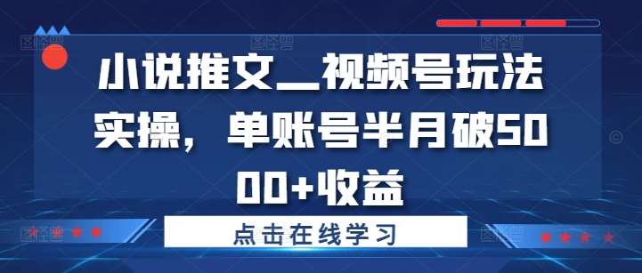 小说推文—视频号玩法实操，单账号半月破5000+收益-问小徐资源库