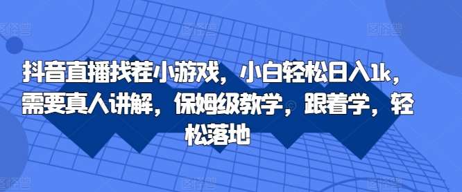 抖音直播找茬小游戏，小白轻松日入1k，需要真人讲解，保姆级教学，跟着学，轻松落地【揭秘】-问小徐资源库