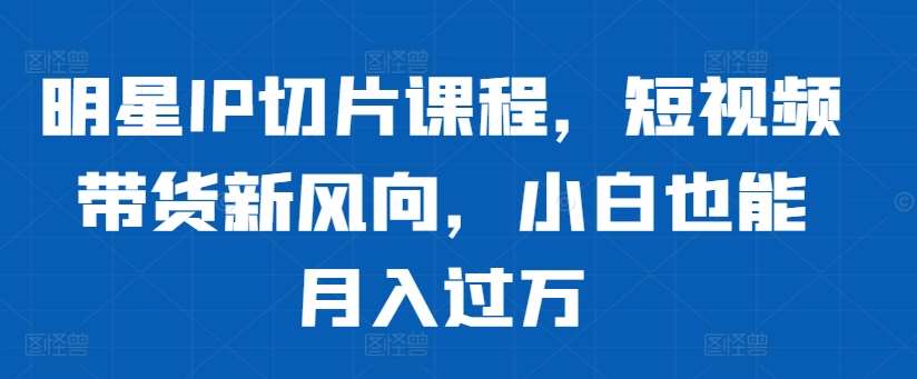 明星IP切片课程，短视频带货新风向，小白也能月入过万-问小徐资源库