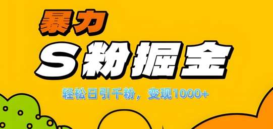 单人单机日引千粉，变现1k+，S粉流量掘金计划攻略【揭秘】-问小徐资源库