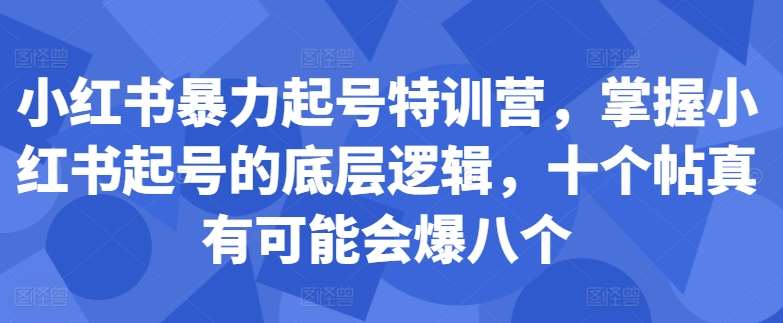 小红书暴力起号特训营，掌握小红书起号的底层逻辑，十个帖真有可能会爆八个-问小徐资源库