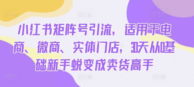 小红书矩阵号引流，适用于电商、微商、实体门店，30天从0基础新手蜕变成卖货高手-问小徐资源库