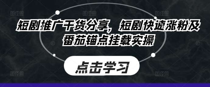 短剧推广干货分享，短剧快速涨粉及番茄锚点挂载实操-问小徐资源库