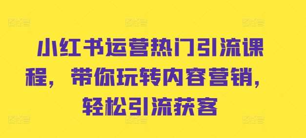 小红书运营热门引流课程，带你玩转内容营销，轻松引流获客-问小徐资源库