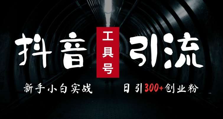 2024最新抖音工具号引流玩法，高效日引300+创业粉，当天变现5k，小白也可成为实战高手-问小徐资源库