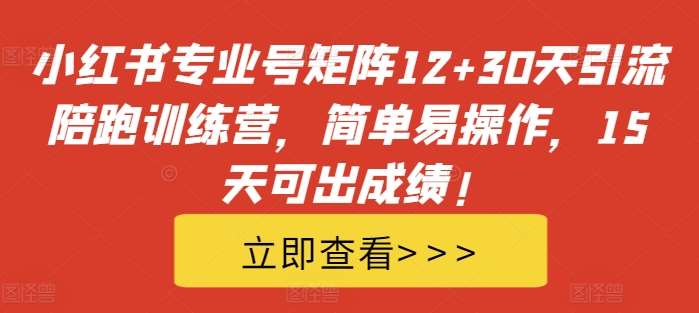 小红书专业号矩阵12+30天引流陪跑训练营，简单易操作，15天可出成绩!-问小徐资源库