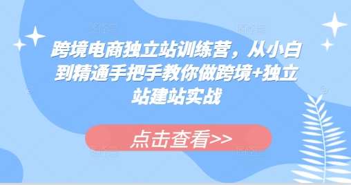 跨境电商独立站训练营，从小白到精通手把手教你做跨境+独立站建站实战-问小徐资源库