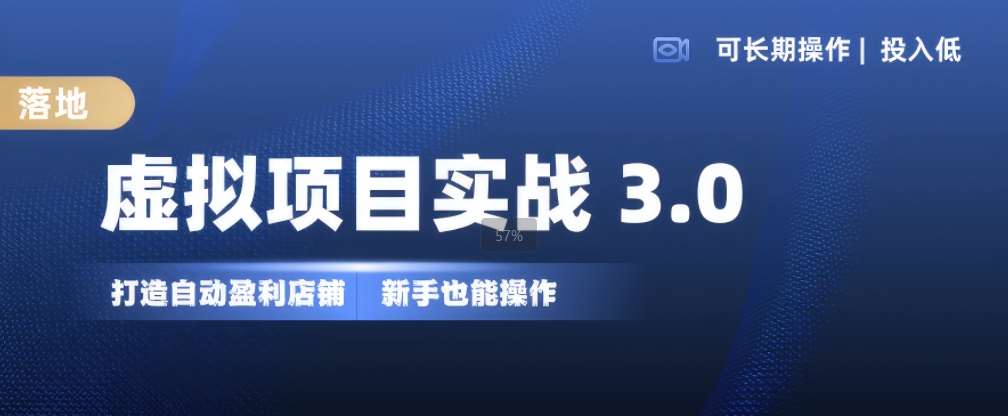 虚拟项目实战3.0，打造自动盈利店铺，可长期操作投入低，新手也能操作-问小徐资源库