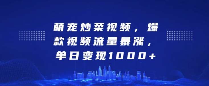 萌宠炒菜视频，爆款视频流量暴涨，单日变现1k-问小徐资源库