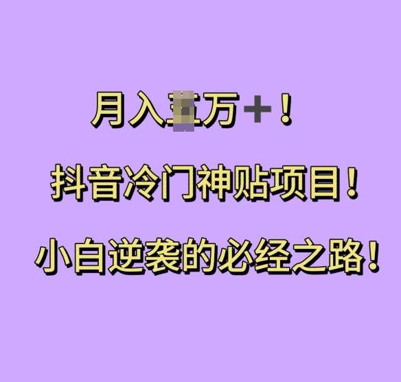 抖音冷门神贴项目，小白逆袭的必经之路，月入过W【揭秘】-问小徐资源库