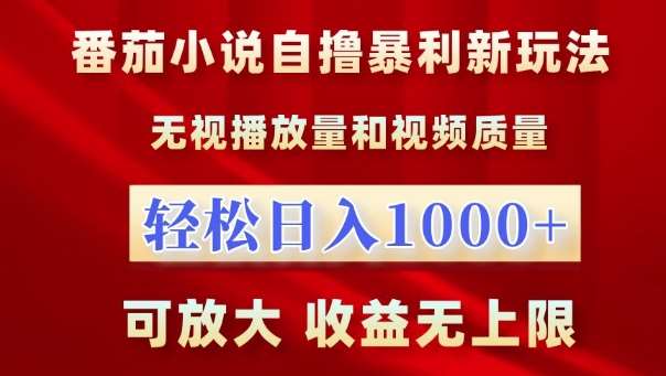 番茄小说自撸暴利新玩法，无视播放量，轻松日入1k，可放大，收益无上限【揭秘】-问小徐资源库