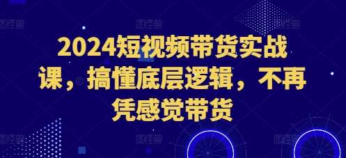 2024短视频带货实战课，搞懂底层逻辑，不再凭感觉带货-问小徐资源库