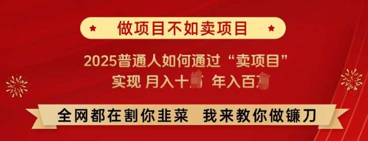 必看!做项目不如卖项目，2025普通人如何通过“卖项目”实现月入十个，年入百个【揭秘】-问小徐资源库