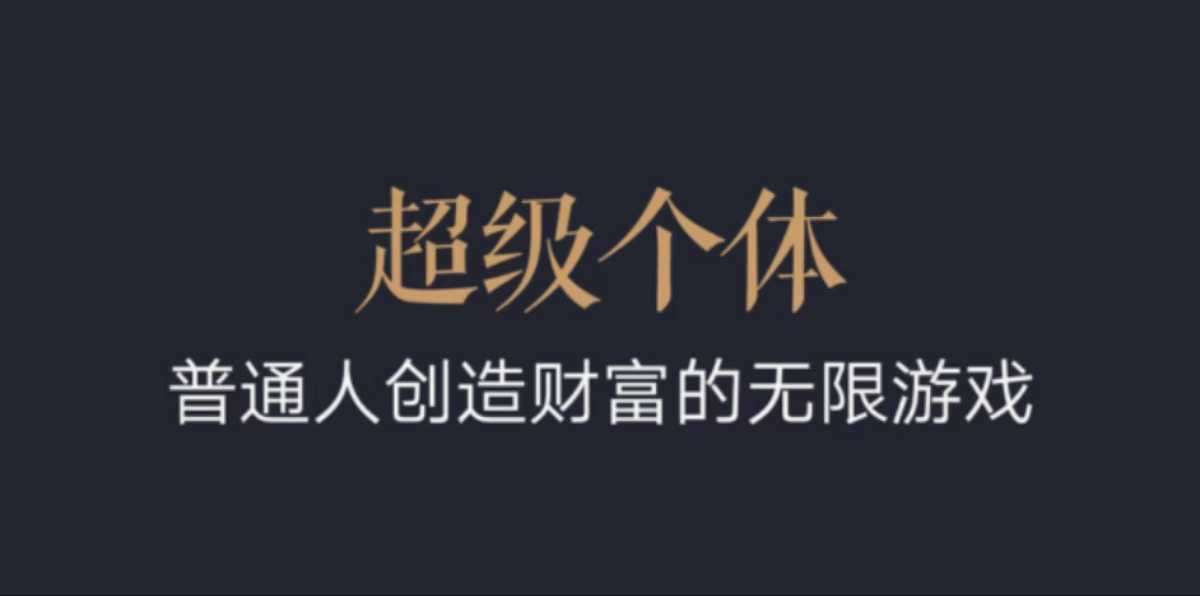 超级个体：2024-2025翻盘指南，普通人创造财富的无限游戏-问小徐资源库