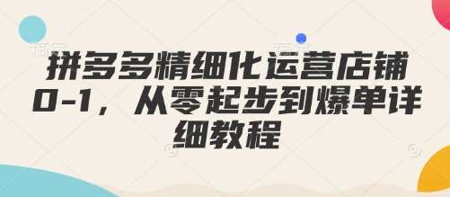 拼多多精细化运营店铺0-1，从零起步到爆单详细教程-问小徐资源库