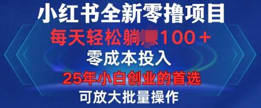 小红书全新纯零撸项目，只要有号就能玩，可放大批量操作，轻松日入100+【揭秘】-问小徐资源库