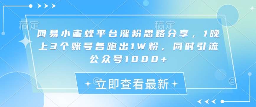 网易小蜜蜂平台涨粉思路分享，1晚上3个账号各跑出1W粉，同时引流公众号1000+-问小徐资源库