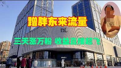 蹭胖东来流量，三天涨万粉，收益直接起飞-问小徐资源库
