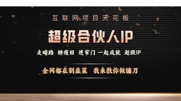 互联网项目天花板，超级合伙人IP，全网都在割韭菜，我来教你做镰刀【仅揭秘】-问小徐资源库