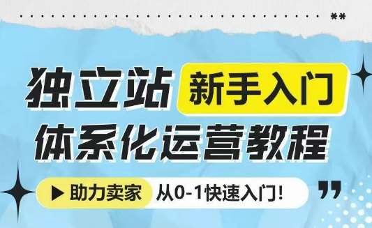 独立站新手入门体系化运营教程，助力独立站卖家从0-1快速入门!-问小徐资源库